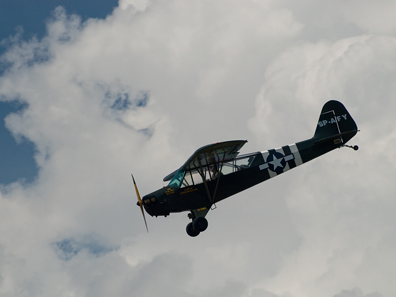 036_Goraszka_Piper Cub.jpg